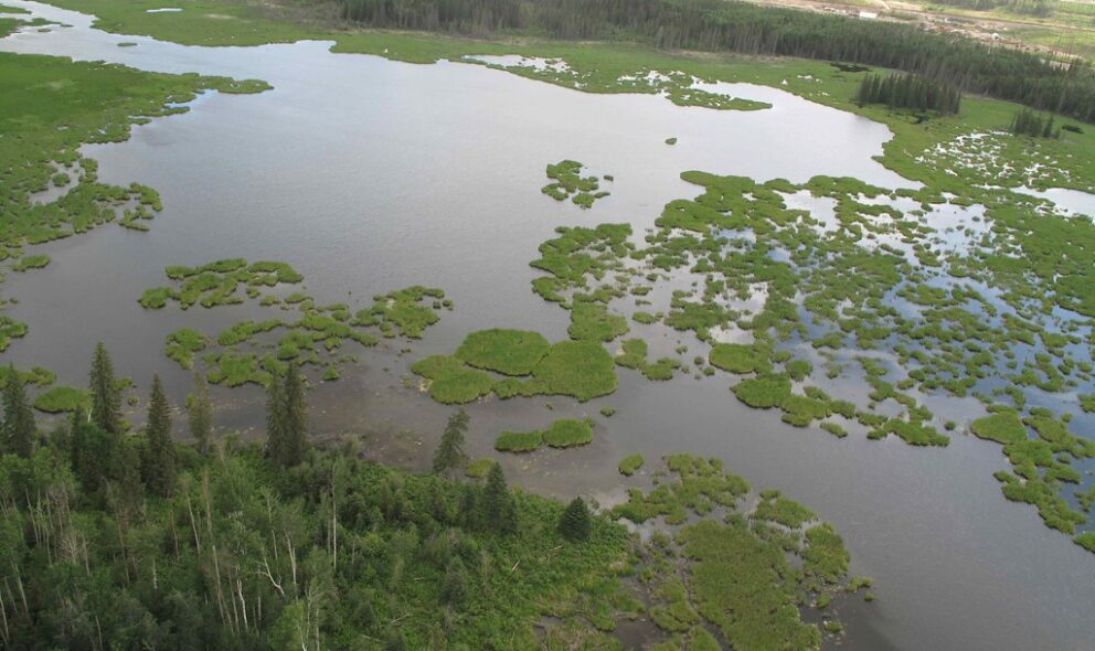 wetlands